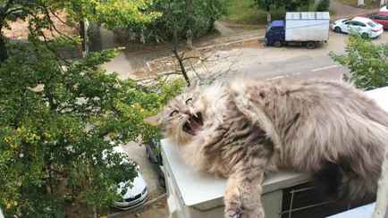 Как белорусам заставить кондиционер охлаждать комнату за копейки? Не верить в один миф и следовать семи правилам