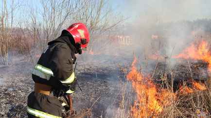В 58 районах Беларуси ограничили посещение лесов, а в МЧС попросили не убегать от пожаров. Это как?
