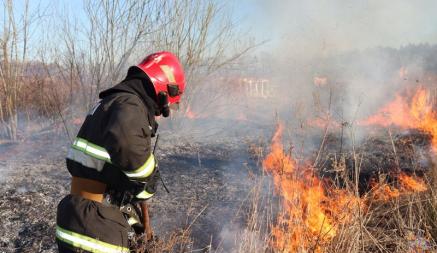 В 58 районах Беларуси ограничили посещение лесов, а в МЧС попросили не убегать от пожаров. Это как?