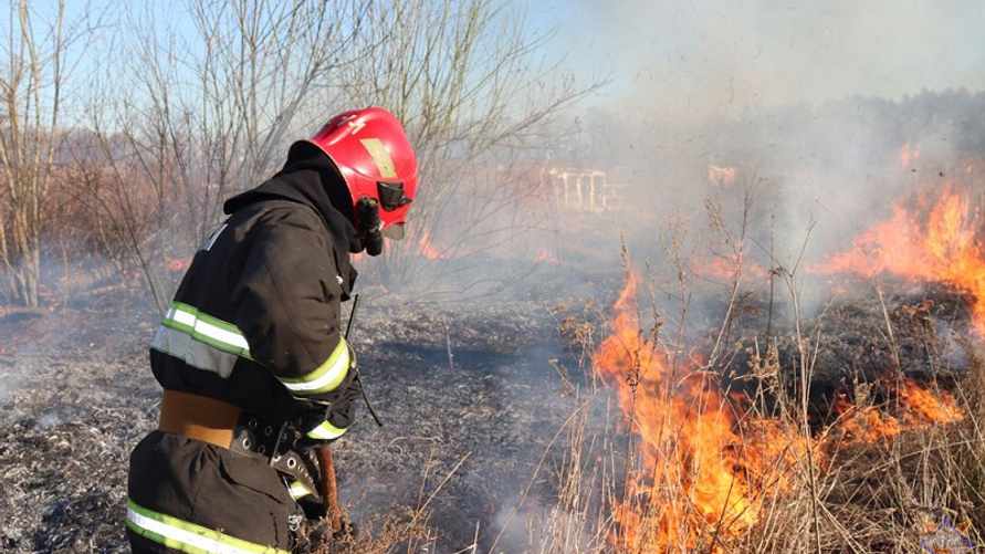 Фото: МЧС РБ