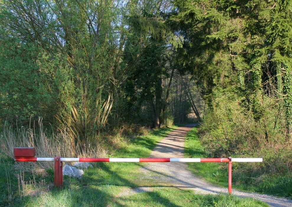 В Беларуси ограничили посещения лесов в большинстве районов. Только в одной области можно везде