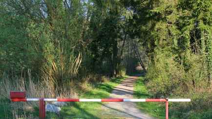 В Беларуси ограничили посещения лесов в большинстве районов. Только в одной области можно везде