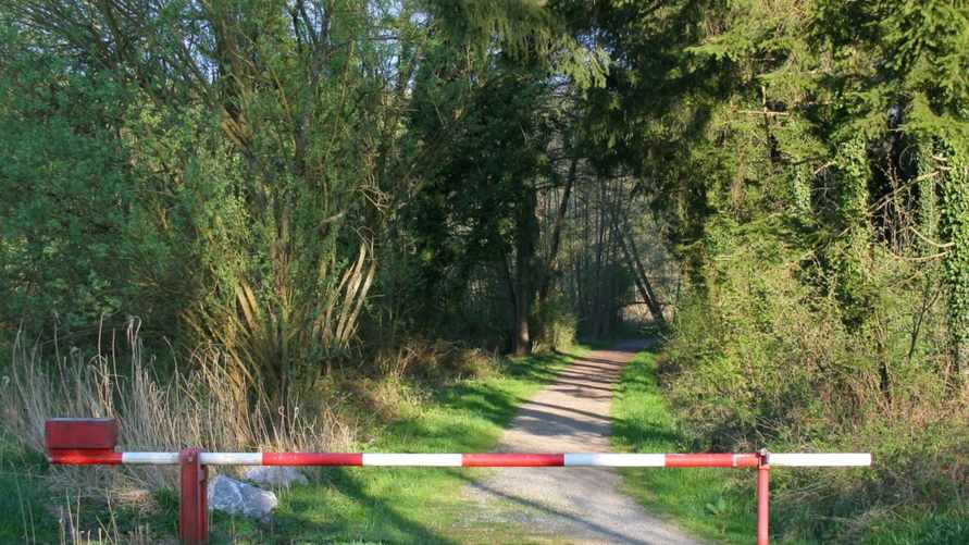 В Беларуси ограничили посещения лесов в большинстве районов. Только в одной области можно везде