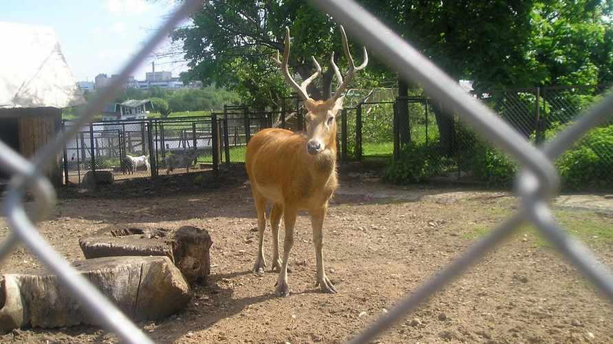 Фото: Телеграф