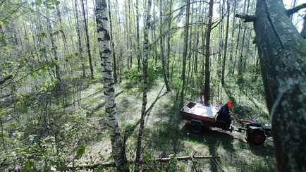 В белорусских лесах появились «кочующие» фотоловушки. Кого ловят и за что?