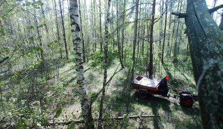 В белорусских лесах появились «кочующие» фотоловушки. Кого ловят и за что?