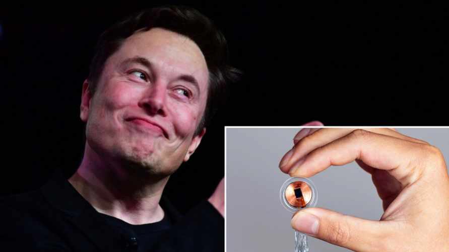 Власти США разрешили Маску вживлять в мозг людей чипы