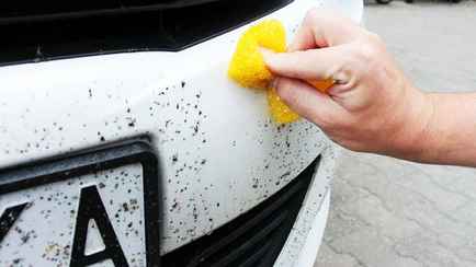 Как смыть насекомых с авто, не повредив краску? Эти ошибки допускают многие белорусы