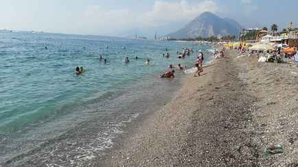 Когда климат в Беларуси станет, как в Турции? Метеоролог назвал не очень долгие сроки