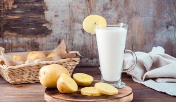 Картофельное молоко завоюет мир? Нашли рецепт будущего национального напитка белорусов