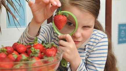 Как белорусам лучше вымыть клубнику — с содой или уксусом? А простой воды недостаточно?