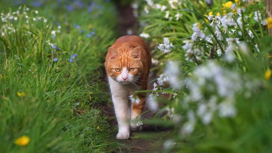 Фото иллюстрационное