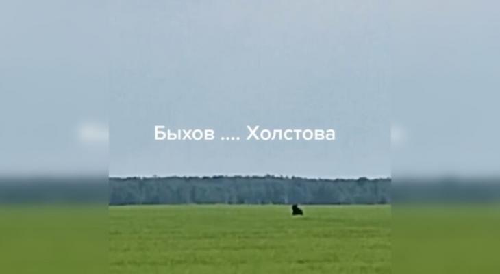 «Да не бойся! А-а-а-а!» — Под Быховом белорусы встретили скачущего по полю медведя
