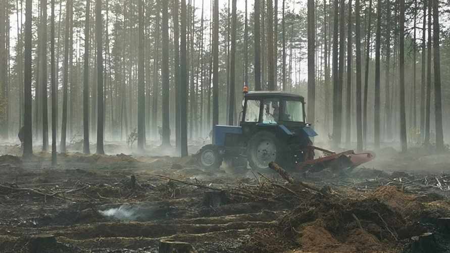 Фото: Минлесхоз Беларуси