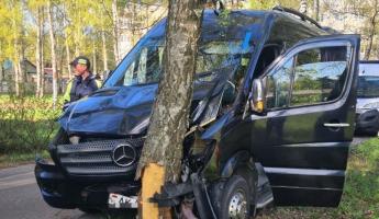 Под Минском микроавтобус влетел в дерево – семь человек увезли в больницу