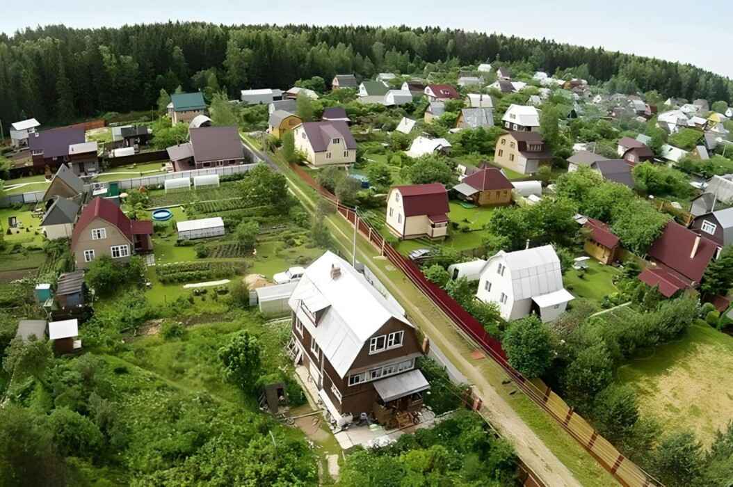 Белорусских дачников решили регулировать по-новому. Что в новом указе, кроме членских взносов?