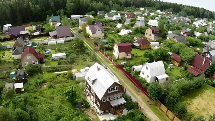 Белорусских дачников решили регулировать по-новому. Что в новом указе, кроме членских взносов?