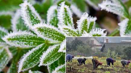 Погода в Беларуси побила столетние рекорды. Что ждать 8-9 мая и на неделе?