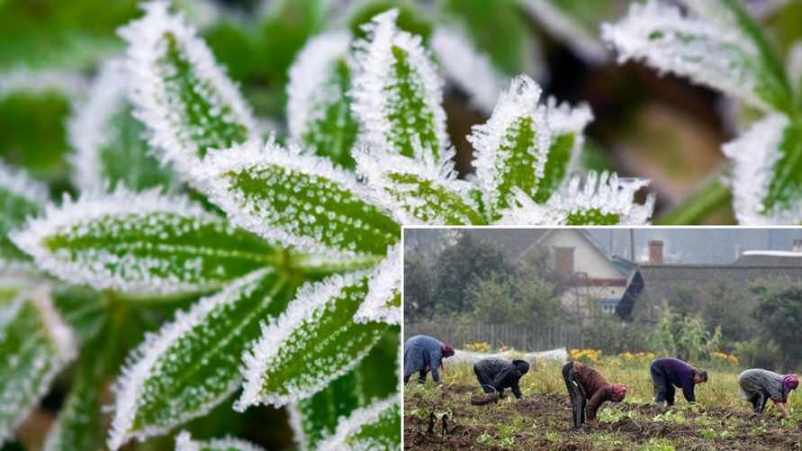 Погода в Беларуси побила столетние рекорды. Что ждать 8-9 мая и на неделе?