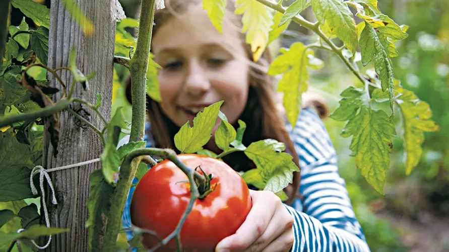 Фото: GettyImages