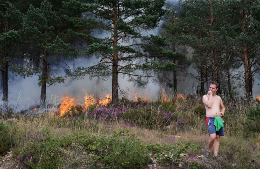 Фото иллюстрационное