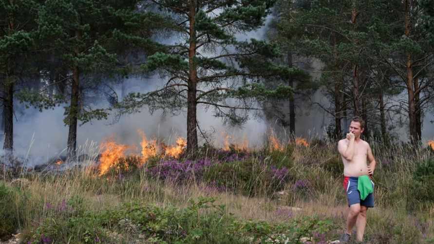 Фото иллюстрационное