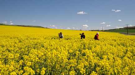 Повышение «коммуналки», кредиты, «зеленая карта». Что изменится в Беларуси в июне?