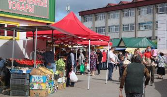 Стала известна дата, когда в Беларуси ликвидируют все ИП. Подробности законопроекта