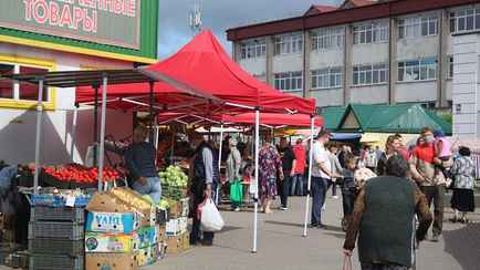 Стала известна дата, когда в Беларуси ликвидируют все ИП. Подробности законопроекта
