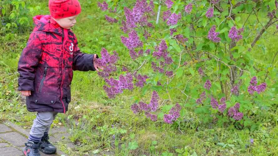 Фото: агентство "Минск-Новости"