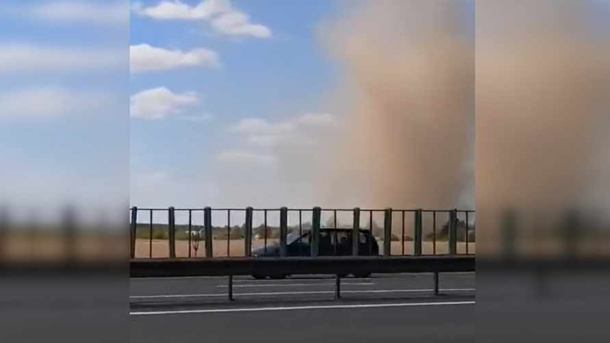 Автомобилисты засняли на видео "пылевого дьявола" у трассы под Минском