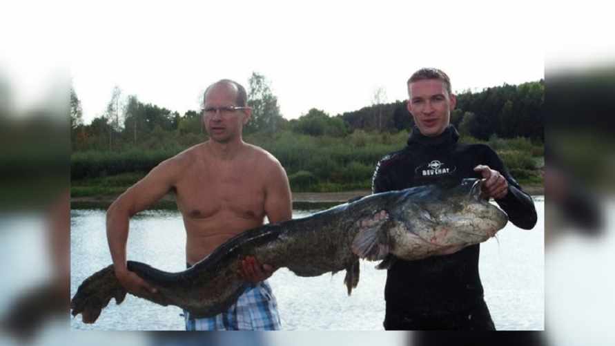 Фото: «Новогрудок-онлайн», сом весом 37 кг, выловленный в Гродно