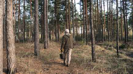 Из чего белорусам приготовить самое первое весеннее варенье? Придётся отправиться в лес