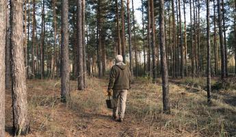 Из чего белорусам приготовить самое первое весеннее варенье? Придётся отправиться в лес