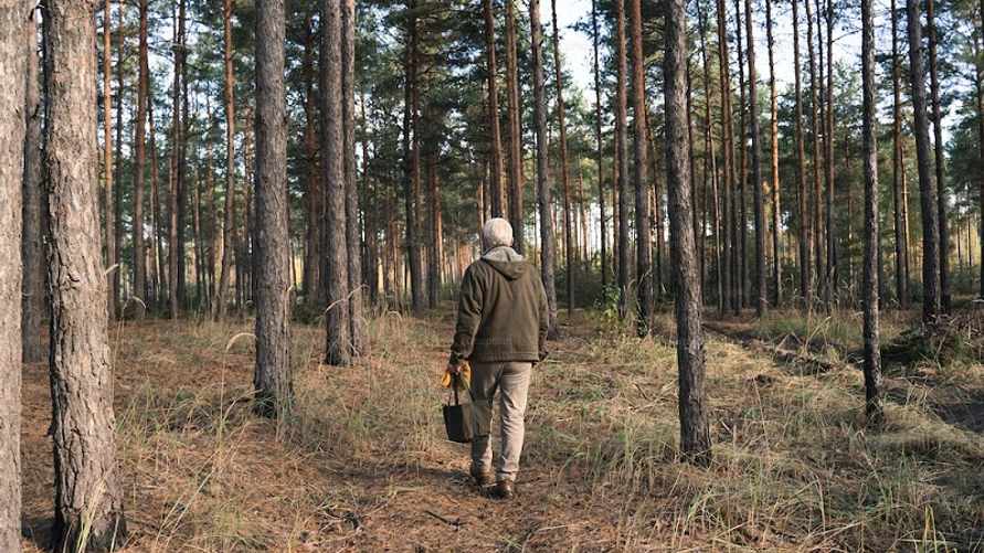 Из чего белорусам приготовить самое первое весеннее варенье? Придётся отправиться в лес
