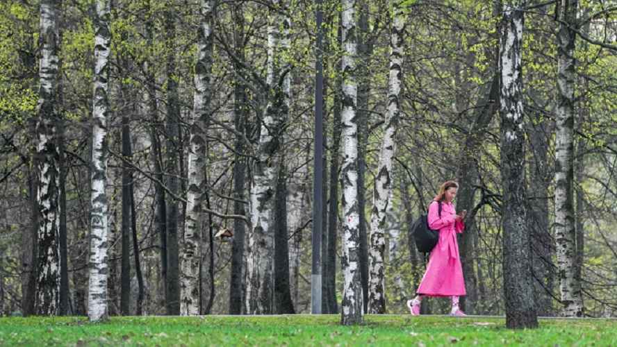 Фото: АГН "Москва"