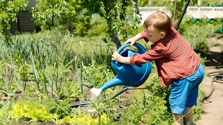 Иллюстрированное фото/соцсети