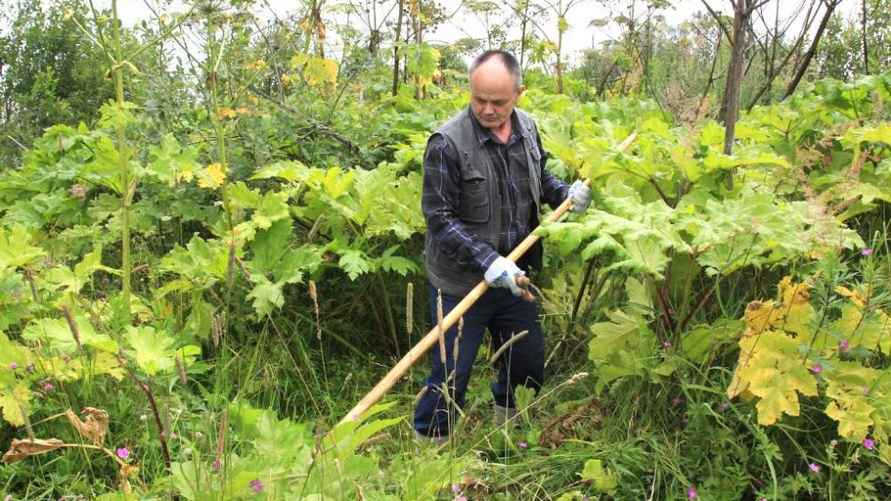 Иллюстрированное фото/rg.ru