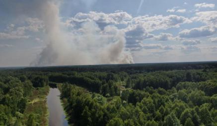 В Украине пожары рядом с Чернобылем приблизились к Беларуси. Что известно?