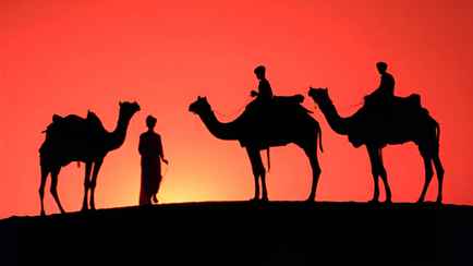 Как охладить комнату в жару потратив 0 копеек? Этот трюк египтян поможет всем белорусам