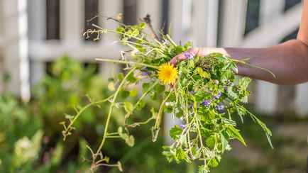 Как избавится от сорняков на огороде без прополки? Вот самый дешевый метод