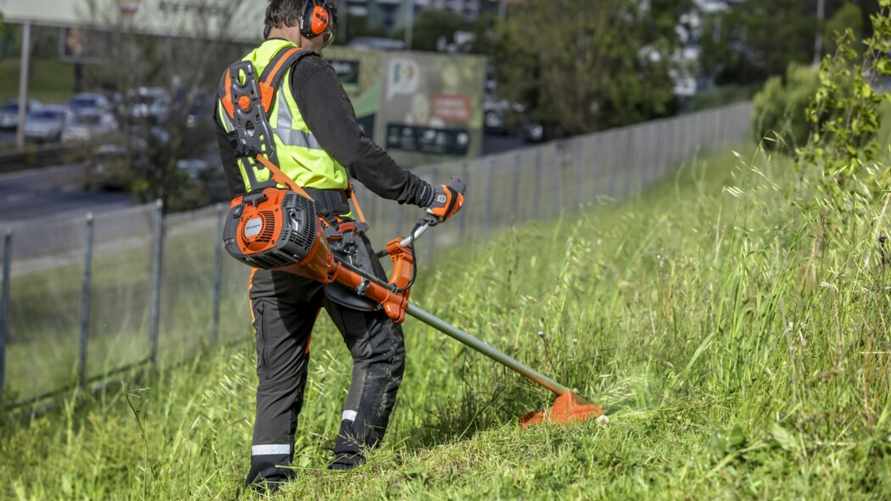 Иллюстрированное фото/соцсети