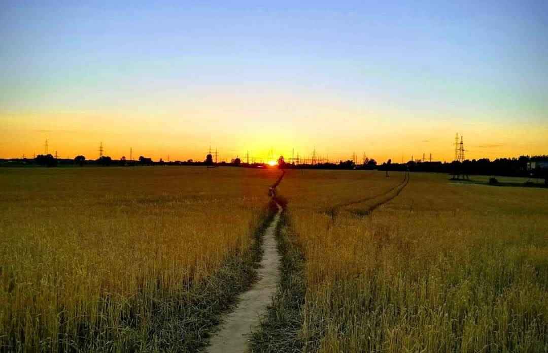 Фото: Телеграф