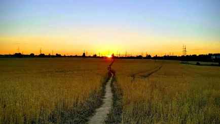 «Жёсткая засуха» — Белорусские аграрии спросили ученых, можно ли спасти урожай. Что ответили?