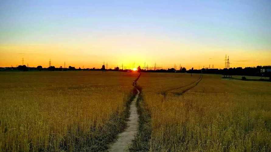 Фото: Телеграф