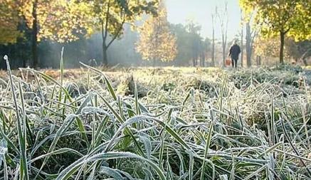 «Заморозки до -2°С» — Когда ждать? Метеорологи рассказали о погоде в Беларуси на ближайшие дни
