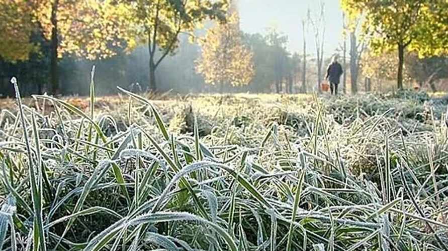 «Заморозки до -2°С» - Когда ждать? Метеорологи рассказали о погоде в Беларуси на ближайшие дни