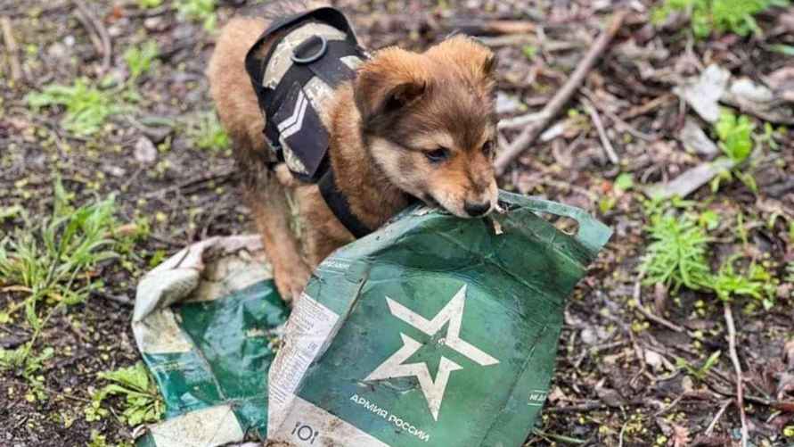 Иллюстрационное фото, соцсети