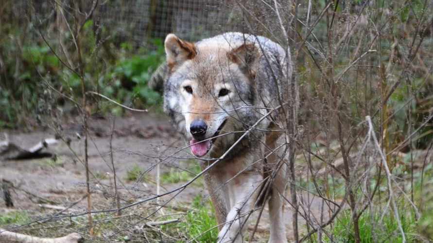 Фото иллюстрационное / «ТИА»