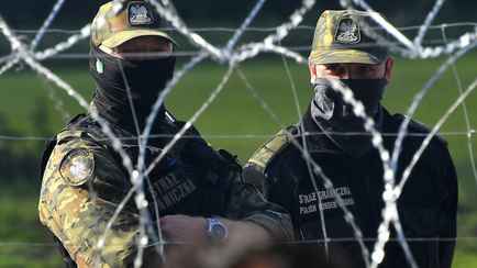 Польские пограничники заявили, что их «обстреляли» на границе с Беларусью. Чем?